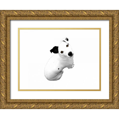 Jack Russell Buddy 1 Gold Ornate Wood Framed Art Print with Double Matting by Grey, Jace
