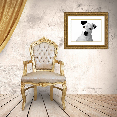 Jack Russell Buddy 2 Gold Ornate Wood Framed Art Print with Double Matting by Grey, Jace