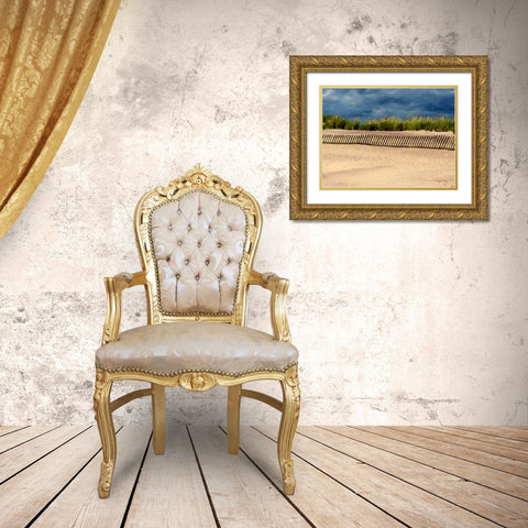 Beach 1056 Gold Ornate Wood Framed Art Print with Double Matting by Pica, Jeff