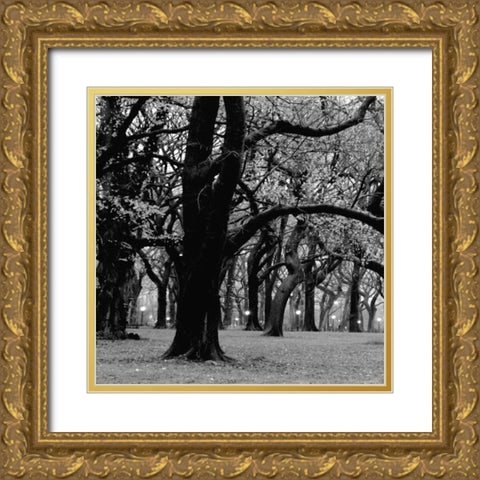 Central Park 2A Gold Ornate Wood Framed Art Print with Double Matting by Grey, Jace