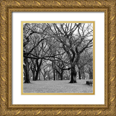 Central Park 2B Gold Ornate Wood Framed Art Print with Double Matting by Grey, Jace