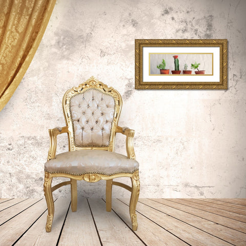 Potted Row Gold Ornate Wood Framed Art Print with Double Matting by Kimberly, Allen