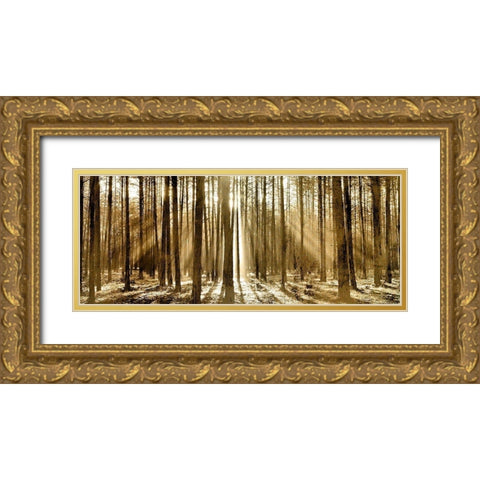 Morning through the Trees Gold Ornate Wood Framed Art Print with Double Matting by Kimberly, Allen
