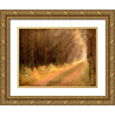 Road To Enlightenment Gold Ornate Wood Framed Art Print with Double Matting by Allen, Kimberly