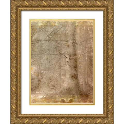 In the Forest Gold Ornate Wood Framed Art Print with Double Matting by Allen, Kimberly