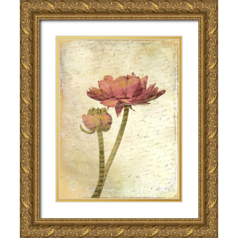 Ranunculus Bloom 1 Gold Ornate Wood Framed Art Print with Double Matting by Allen, Kimberly