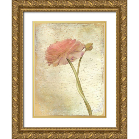 Ranunculus Bloom 2 Gold Ornate Wood Framed Art Print with Double Matting by Allen, Kimberly