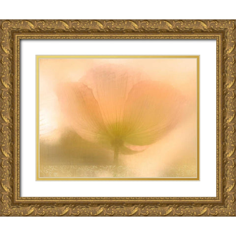 Golden Poppy Gold Ornate Wood Framed Art Print with Double Matting by Allen, Kimberly