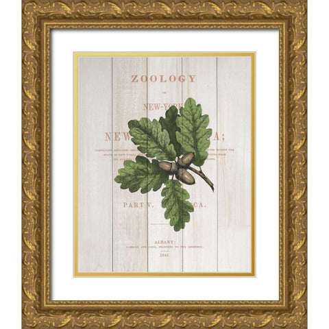 Fall Botanical 3 Gold Ornate Wood Framed Art Print with Double Matting by Kimberly, Allen
