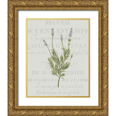 Fresh Herbs 1 Gold Ornate Wood Framed Art Print with Double Matting by Kimberly, Allen