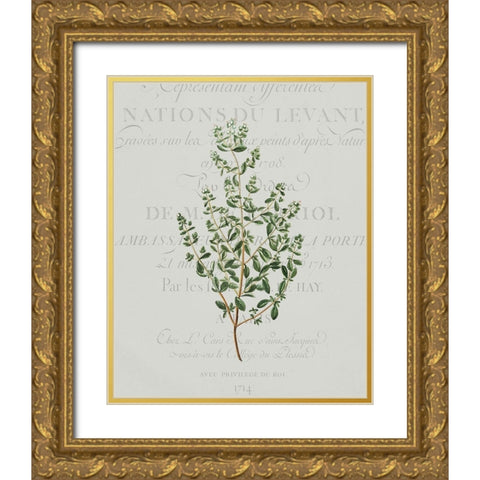 Fresh Herbs 2 Gold Ornate Wood Framed Art Print with Double Matting by Kimberly, Allen