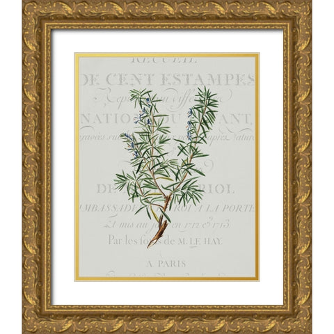 Fresh Herbs 3 Gold Ornate Wood Framed Art Print with Double Matting by Kimberly, Allen