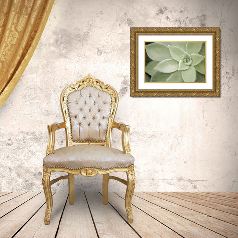Soft Agave Gold Ornate Wood Framed Art Print with Double Matting by Kimberly, Allen