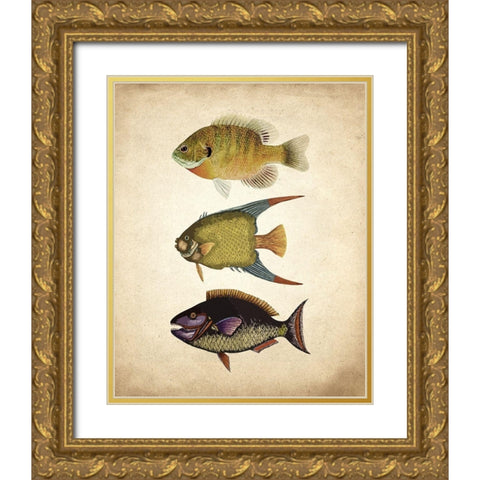 Fish A Gold Ornate Wood Framed Art Print with Double Matting by Kimberly, Allen