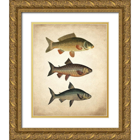 Fish B Gold Ornate Wood Framed Art Print with Double Matting by Kimberly, Allen