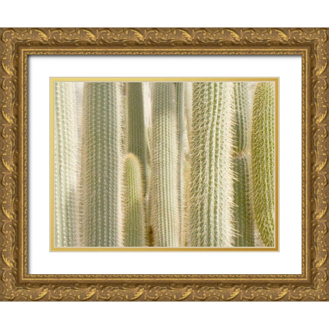 Towards the Sky Gold Ornate Wood Framed Art Print with Double Matting by Allen, Kimberly