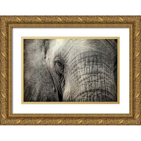 Gazing Gold Ornate Wood Framed Art Print with Double Matting by Kimberly, Allen