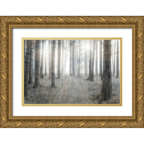 Forest Dream Gold Ornate Wood Framed Art Print with Double Matting by Kimberly, Allen