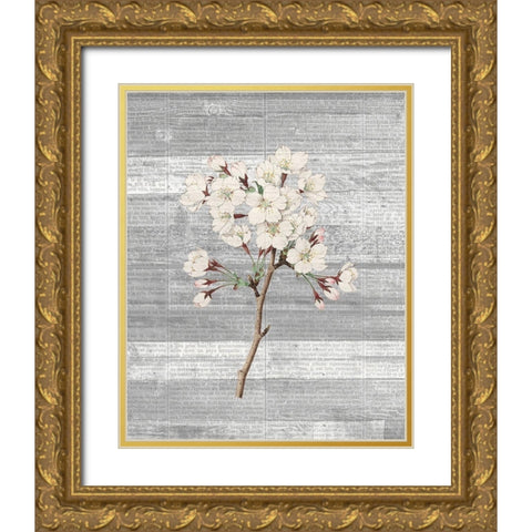 Cherry Blossom 1 Gold Ornate Wood Framed Art Print with Double Matting by Kimberly, Allen