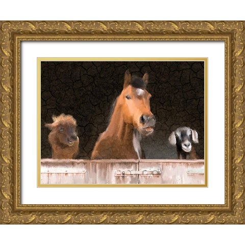 Smiles from the Barn Gold Ornate Wood Framed Art Print with Double Matting by Kimberly, Allen