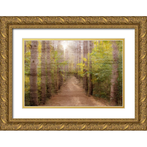 Sunlight Path Gold Ornate Wood Framed Art Print with Double Matting by Kimberly, Allen