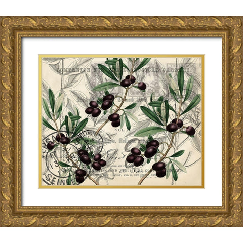 Olive Branch 1 Gold Ornate Wood Framed Art Print with Double Matting by Kimberly, Allen