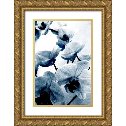 Climbing Orchids Gold Ornate Wood Framed Art Print with Double Matting by Kimberly, Allen