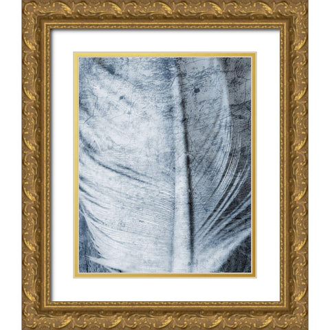 Up Close Feather 1 Gold Ornate Wood Framed Art Print with Double Matting by Kimberly, Allen