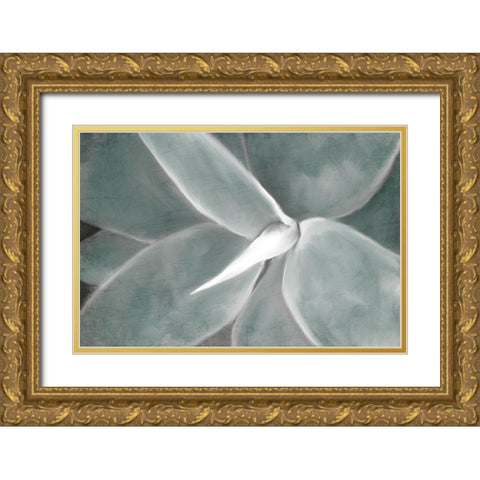 Succulent Center Gold Ornate Wood Framed Art Print with Double Matting by Kimberly, Allen