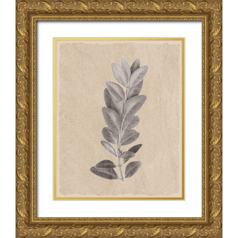 Blue Leaf Print 2 Gold Ornate Wood Framed Art Print with Double Matting by Kimberly, Allen