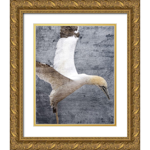 In Flight 1 Gold Ornate Wood Framed Art Print with Double Matting by Kimberly, Allen