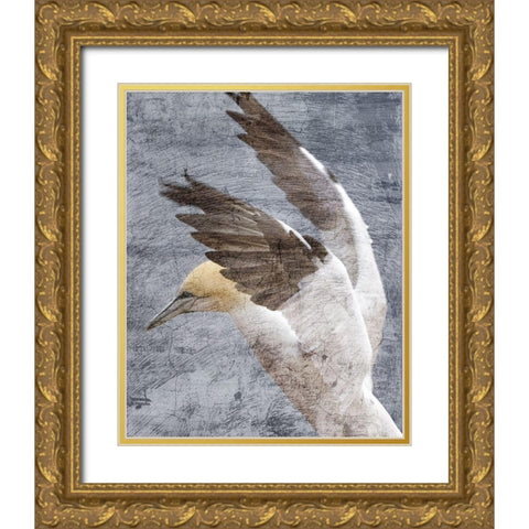 In Flight 2 Gold Ornate Wood Framed Art Print with Double Matting by Kimberly, Allen