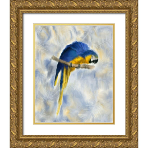Parrot 1 Gold Ornate Wood Framed Art Print with Double Matting by Kimberly, Allen