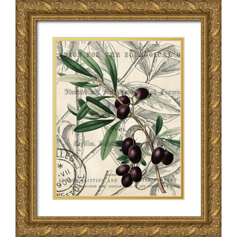 Olive Love 2 Gold Ornate Wood Framed Art Print with Double Matting by Kimberly, Allen