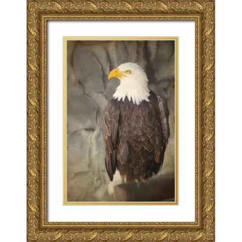 Perched Gold Ornate Wood Framed Art Print with Double Matting by Kimberly, Allen