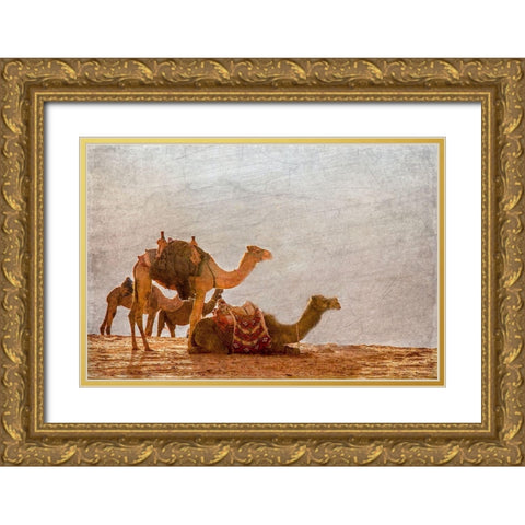In the Desert Gold Ornate Wood Framed Art Print with Double Matting by Kimberly, Allen