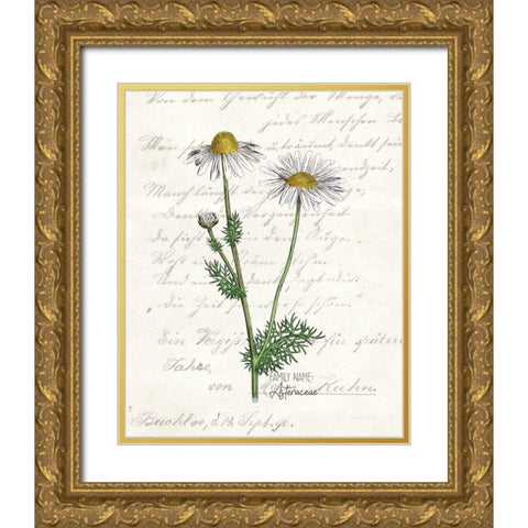 Daisy 2 Gold Ornate Wood Framed Art Print with Double Matting by Kimberly, Allen