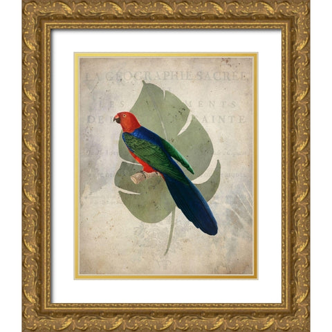 Parrot 2 Gold Ornate Wood Framed Art Print with Double Matting by Kimberly, Allen