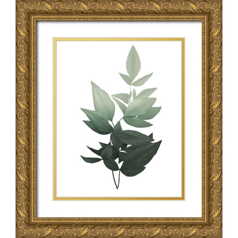 Botanical Greens 1 Gold Ornate Wood Framed Art Print with Double Matting by Kimberly, Allen
