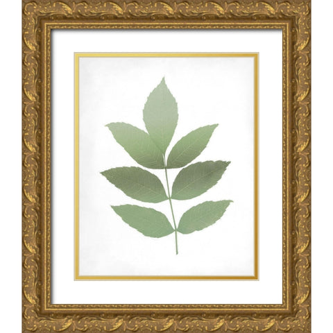 Leaves Print 1 Gold Ornate Wood Framed Art Print with Double Matting by Kimberly, Allen