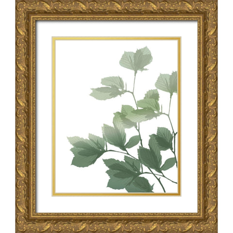 Silhouette Branch Gold Ornate Wood Framed Art Print with Double Matting by Kimberly, Allen