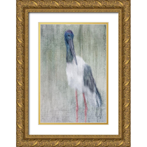 Exotic Gold Ornate Wood Framed Art Print with Double Matting by Kimberly, Allen