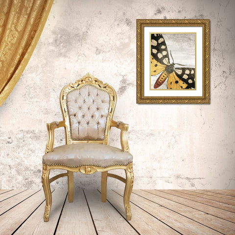 Vintage Butterfly 1 Gold Ornate Wood Framed Art Print with Double Matting by Kimberly, Allen