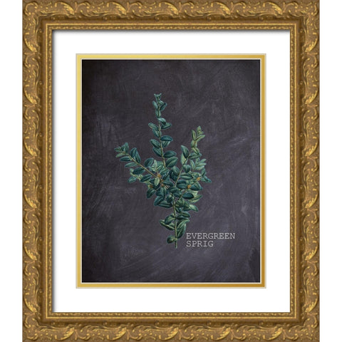 Blackboard Botanical 3 Gold Ornate Wood Framed Art Print with Double Matting by Kimberly, Allen