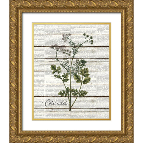 Coriander Gold Ornate Wood Framed Art Print with Double Matting by Kimberly, Allen
