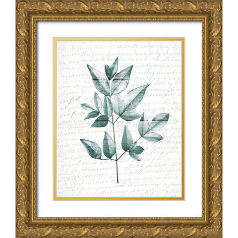 Pressed Leaves 1 Gold Ornate Wood Framed Art Print with Double Matting by Kimberly, Allen
