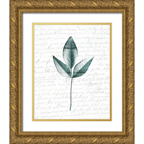 Pressed Leaves 2 Gold Ornate Wood Framed Art Print with Double Matting by Kimberly, Allen