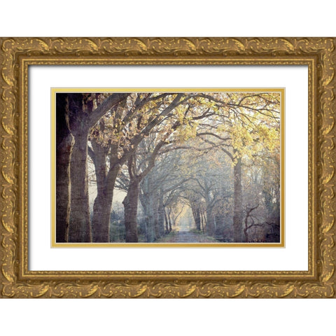 Avenue of Trees Gold Ornate Wood Framed Art Print with Double Matting by Kimberly, Allen