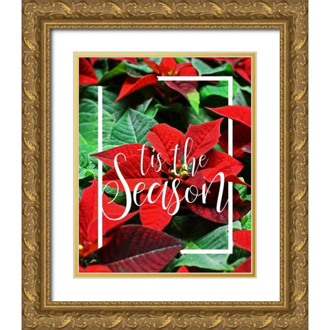 Tis the Season Foliage Gold Ornate Wood Framed Art Print with Double Matting by Kimberly, Allen