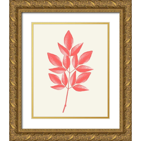 Coral Leaves 1 Gold Ornate Wood Framed Art Print with Double Matting by Kimberly, Allen